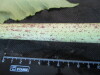 Thumbnail IMG_1802.JPG 