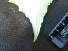 Thumbnail IMG_1804.JPG 