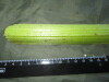 Thumbnail IMG_1819.JPG 