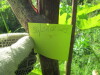 Thumbnail IMG_1701.JPG 