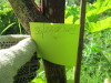 Thumbnail IMG_1702.JPG 