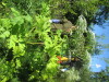 Thumbnail IMG_1708.JPG 