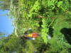 Thumbnail IMG_1709.JPG 
