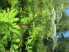 Thumbnail IMG_1710.JPG 