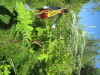 Thumbnail IMG_1719.JPG 