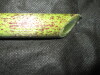 Thumbnail IMG_1726.JPG 