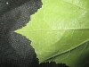 Thumbnail IMG_1734.JPG 