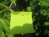 Thumbnail IMG_2722.JPG 