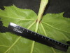 Thumbnail IMG_3279.JPG 