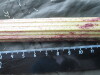 Thumbnail IMG_3302.JPG 