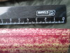 Thumbnail IMG_3304.JPG 