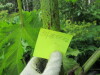 Thumbnail IMG_2739.JPG 