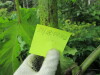Thumbnail IMG_2740.JPG 