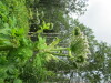 Thumbnail IMG_2759.JPG 