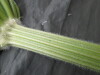 Thumbnail IMG_3211.JPG 