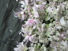 Thumbnail IMG_3219.JPG 