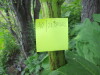 Thumbnail IMG_2789.JPG 