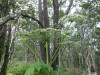 Thumbnail IMG_2800.JPG 