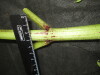 Thumbnail IMG_3255.JPG 
