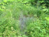 Thumbnail IMG_2819.JPG 