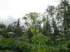 Thumbnail IMG_2828.JPG 