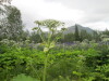 Thumbnail IMG_2832.JPG 