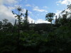Thumbnail IMG_2835.JPG 