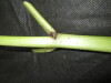 Thumbnail IMG_3493.JPG 