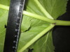 Thumbnail IMG_3498.JPG 