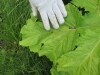 Thumbnail IMG_2840.JPG 
