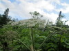 Thumbnail IMG_2842.JPG 