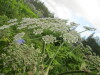 Thumbnail IMG_2844.JPG 
