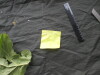 Thumbnail IMG_3368.JPG 