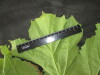 Thumbnail IMG_3375.JPG 