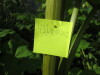 Thumbnail IMG_2848.JPG 