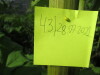 Thumbnail IMG_2849.JPG 