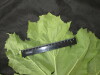 Thumbnail IMG_3341.JPG 