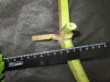 Thumbnail IMG_3349.JPG 