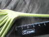 Thumbnail IMG_3356.JPG 