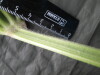 Thumbnail IMG_3359.JPG 