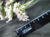 Thumbnail IMG_3360.JPG 
