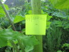 Thumbnail IMG_2879.JPG 