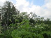 Thumbnail IMG_2890.JPG 