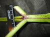 Thumbnail IMG_3587.JPG 