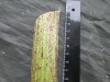 Thumbnail IMG_3593.JPG 