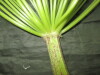 Thumbnail IMG_3596.JPG 