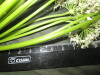 Thumbnail IMG_3599.JPG 