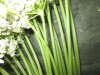 Thumbnail IMG_3609.JPG 
