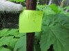 Thumbnail IMG_2899.JPG 
