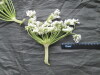 Thumbnail IMG_3432.JPG 